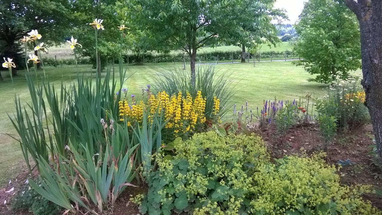 Maison Maton La Roche-lʼAbeille 외부 사진